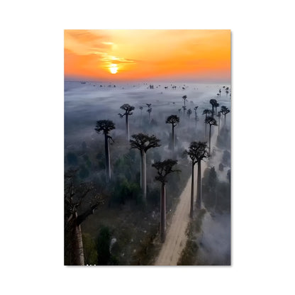 Poster Aube Amazonienne
