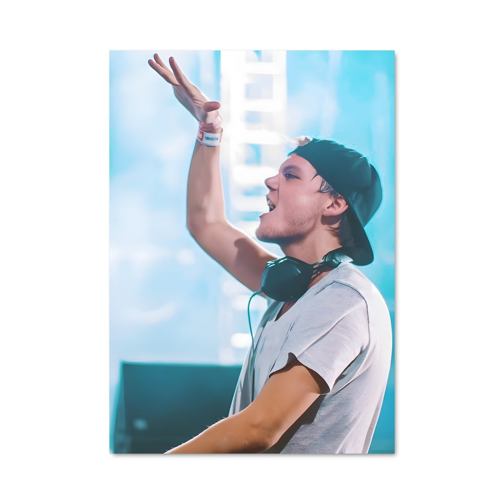 Poster Avicii On Stage
