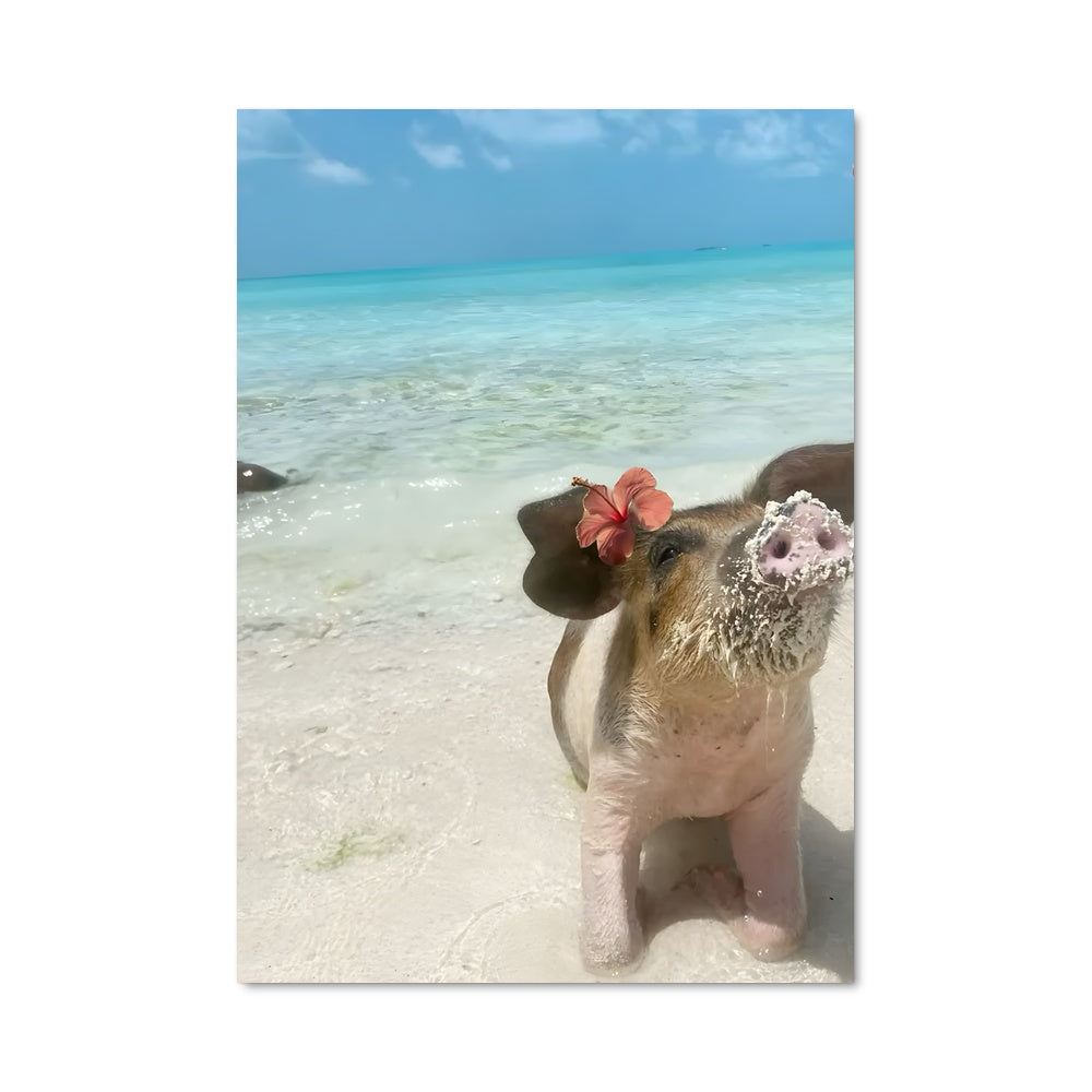 Poster Cochon de Plage