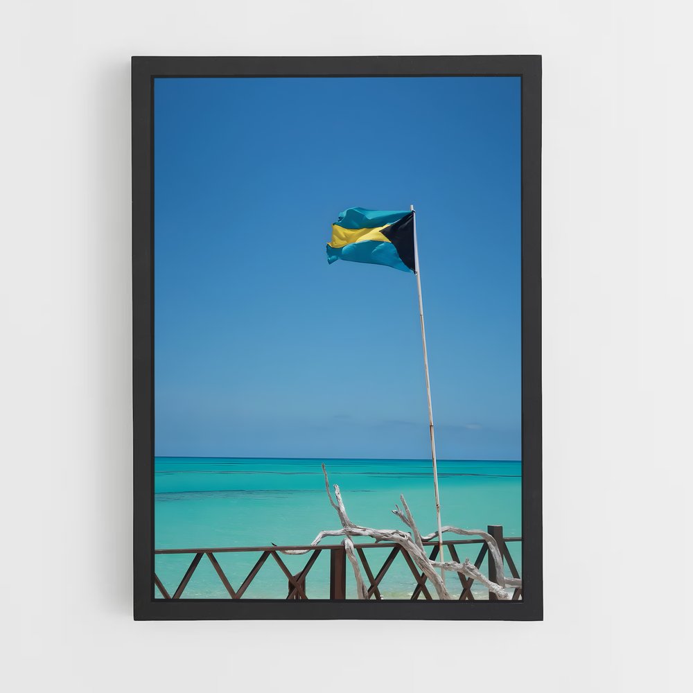 ap-bahamas-9 cadre Noir