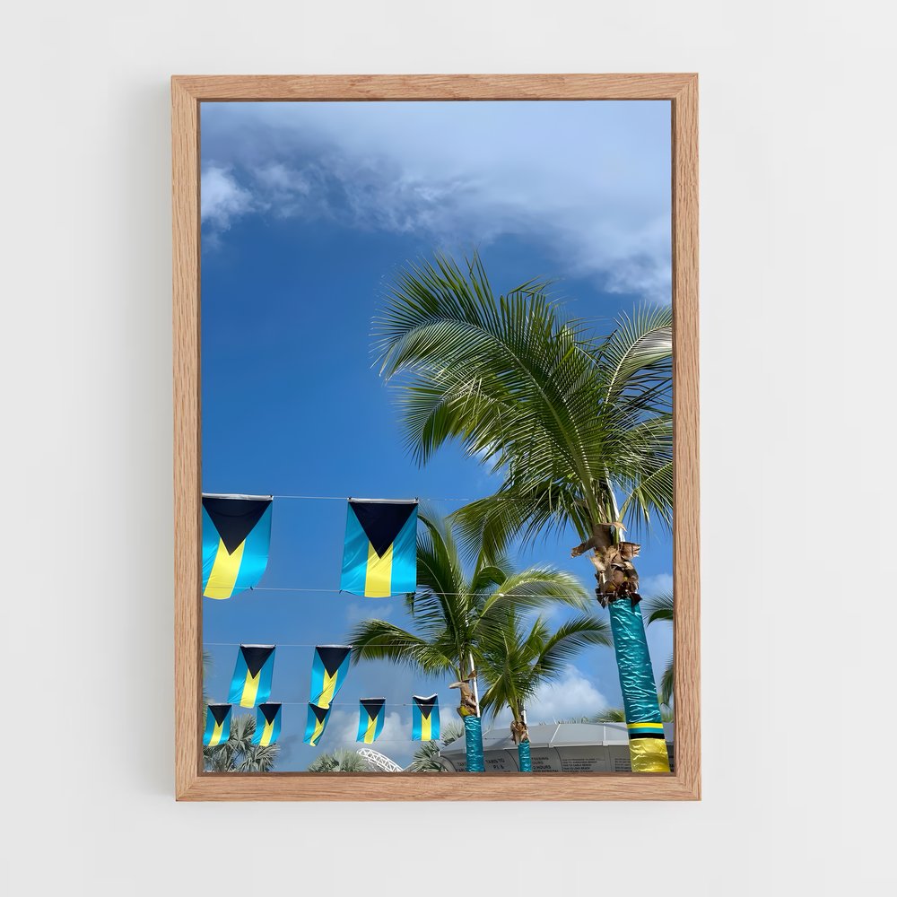 ap-bahamas flag-3 cadre Bois clair