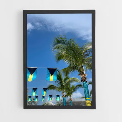 ap-bahamas flag-3 cadre Noir