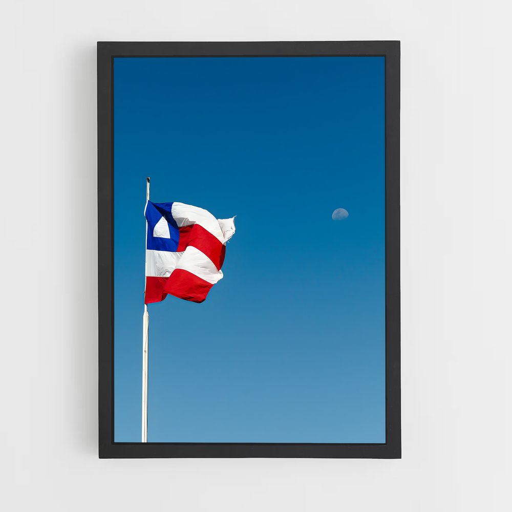 ap-bahia flag-1 cadre Noir