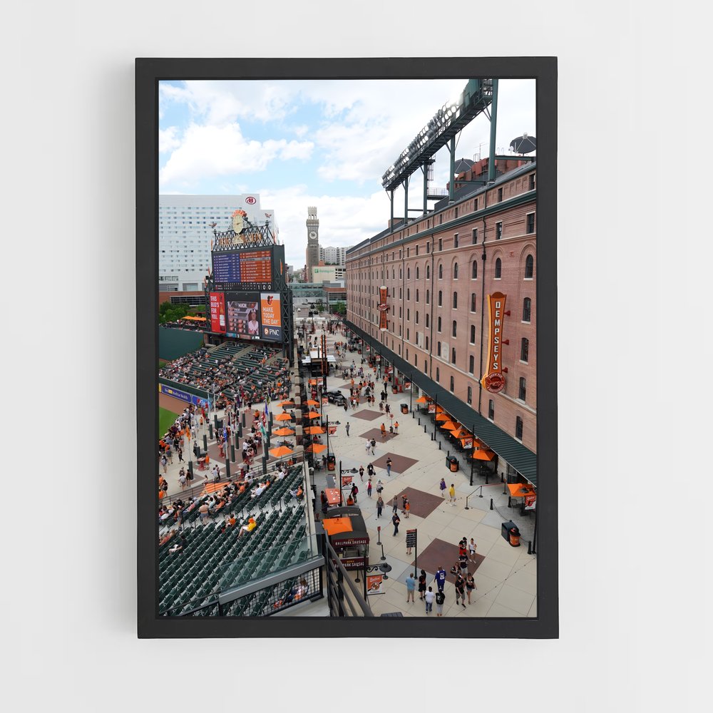 ap-baltimore orioles-2 cadre Noir