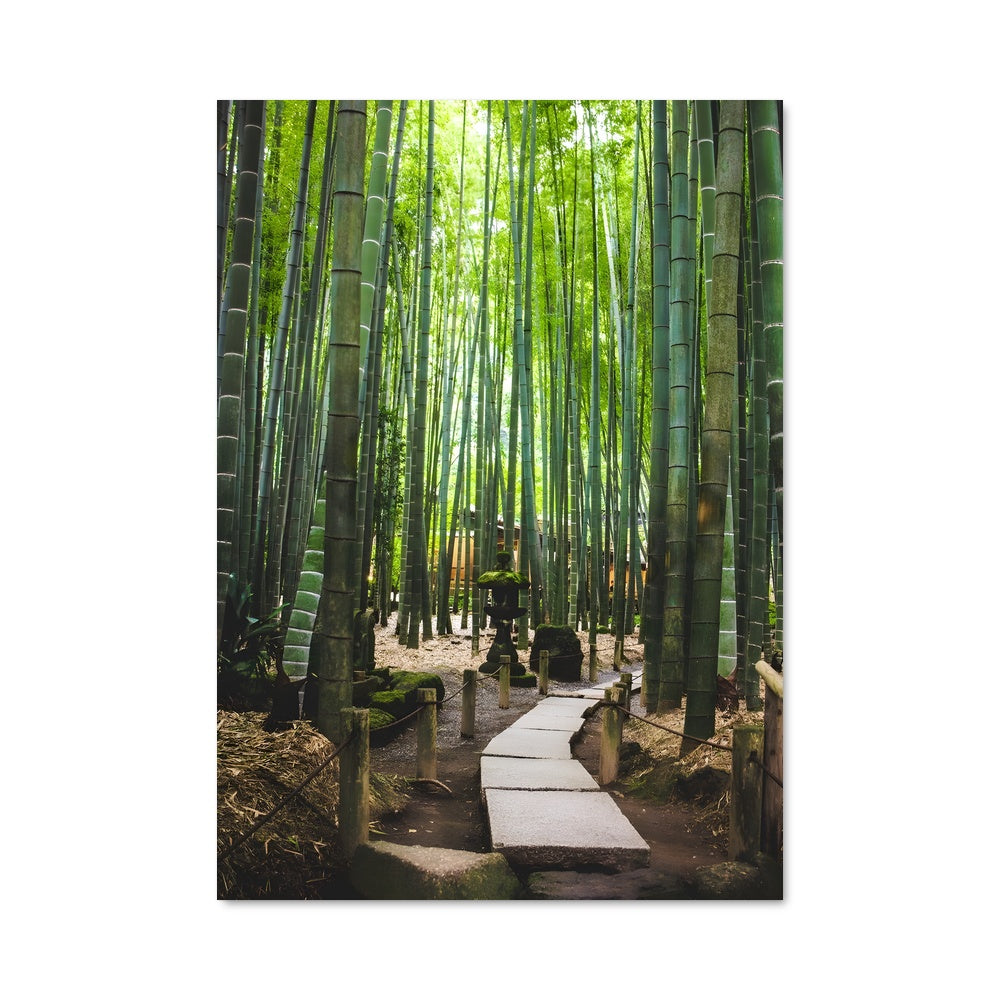 Poster Bamboo grove 96297