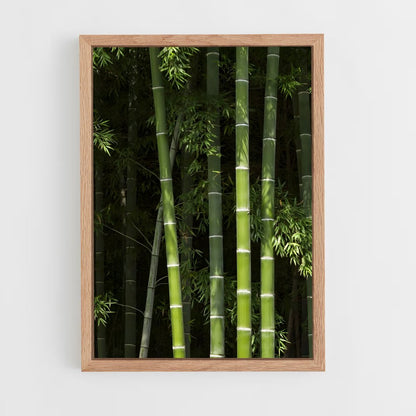 ap-bamboo forest-12 cadre Bois clair