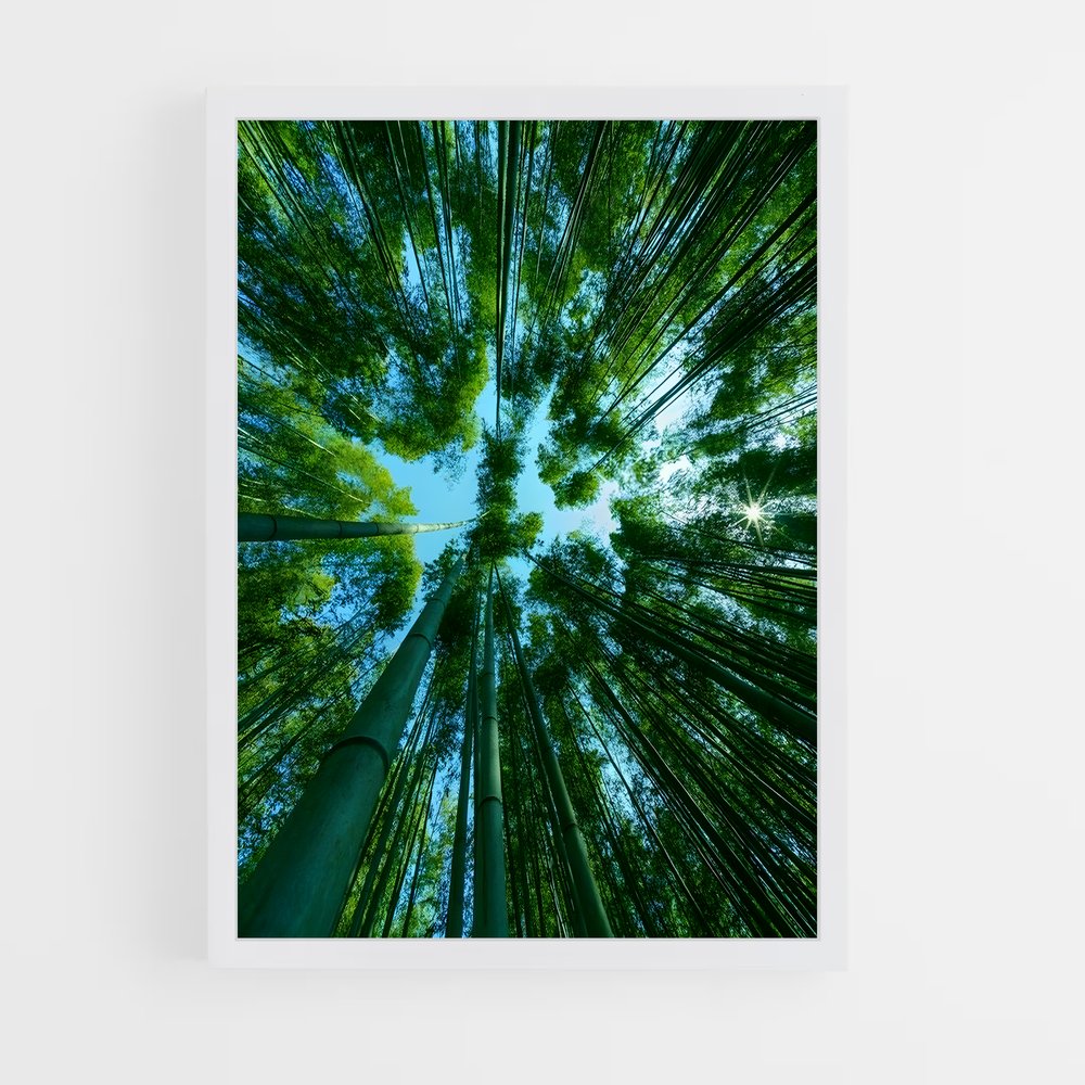 ap-bamboo forest-7 cadre Blanc