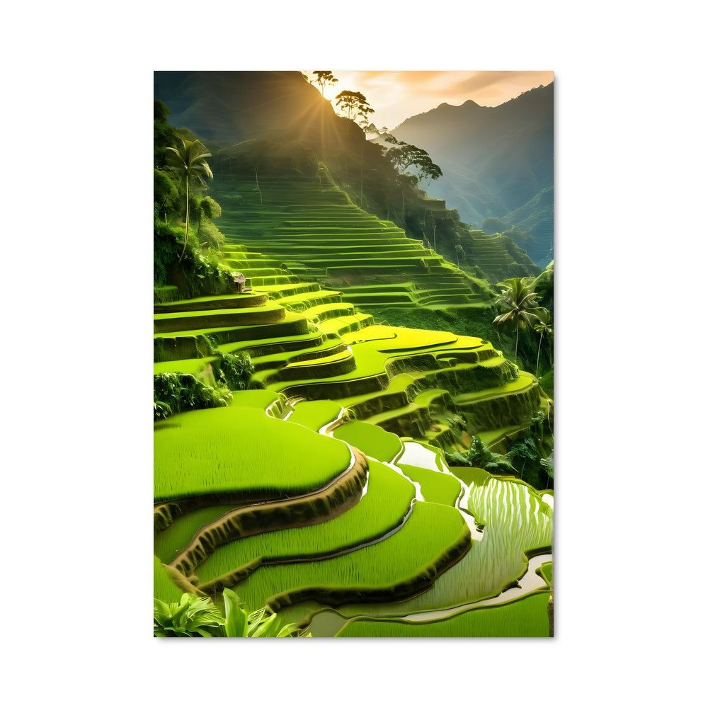 Poster Terres de Banaue