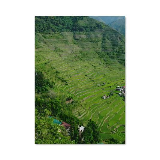 Poster Terrasses d'Asie