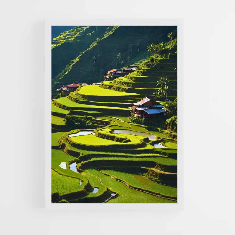 ap-banaue rice terraces-4 cadre Blanc