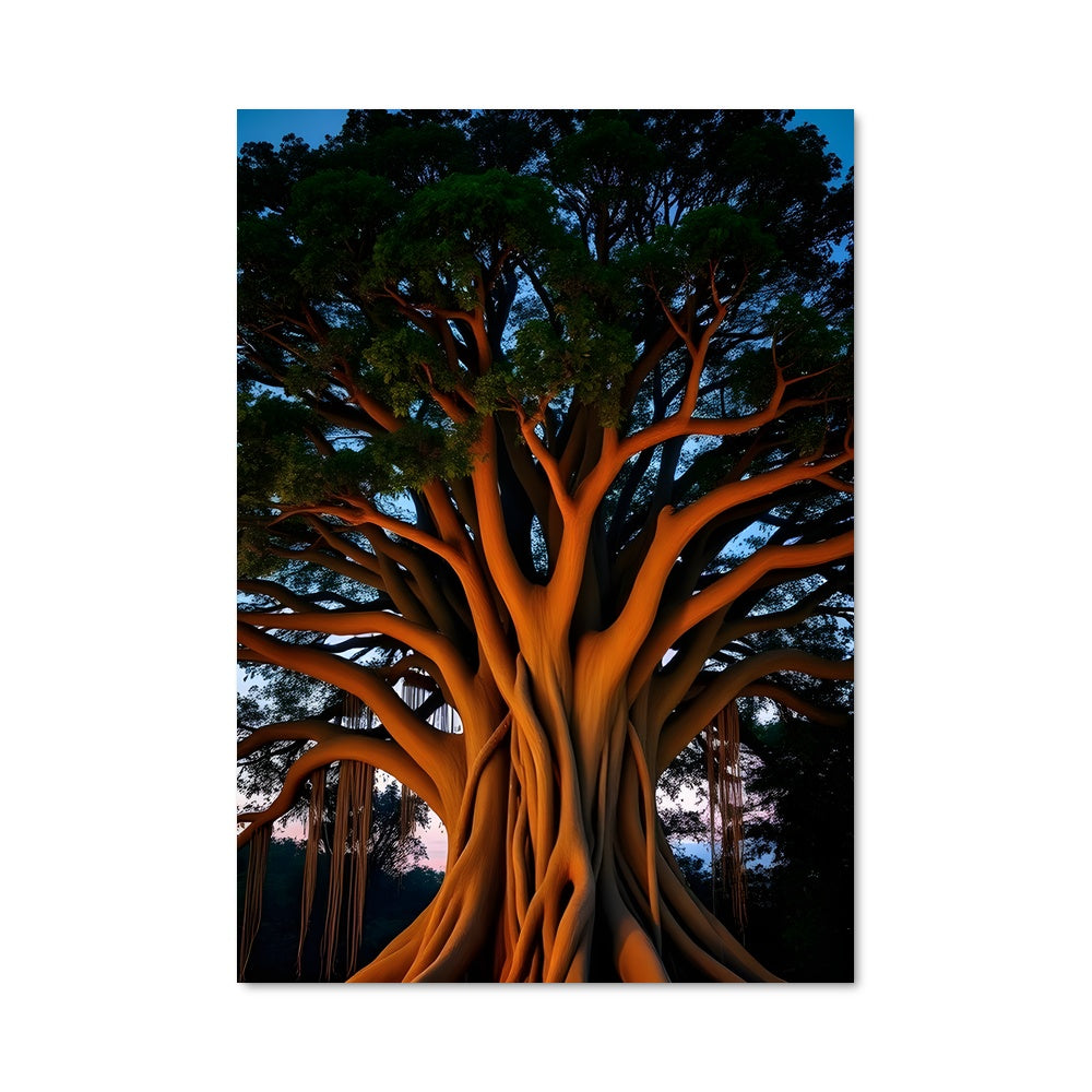 Poster Banyan tree 96917