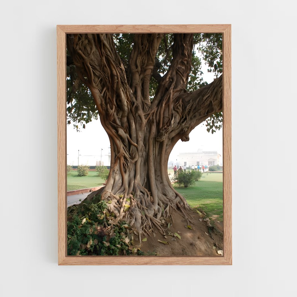 ap-banyan tree-4 cadre Bois clair