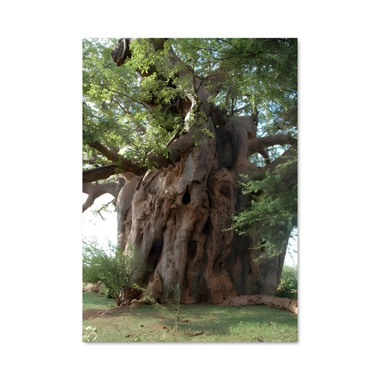 Poster L'Ancien Gardien