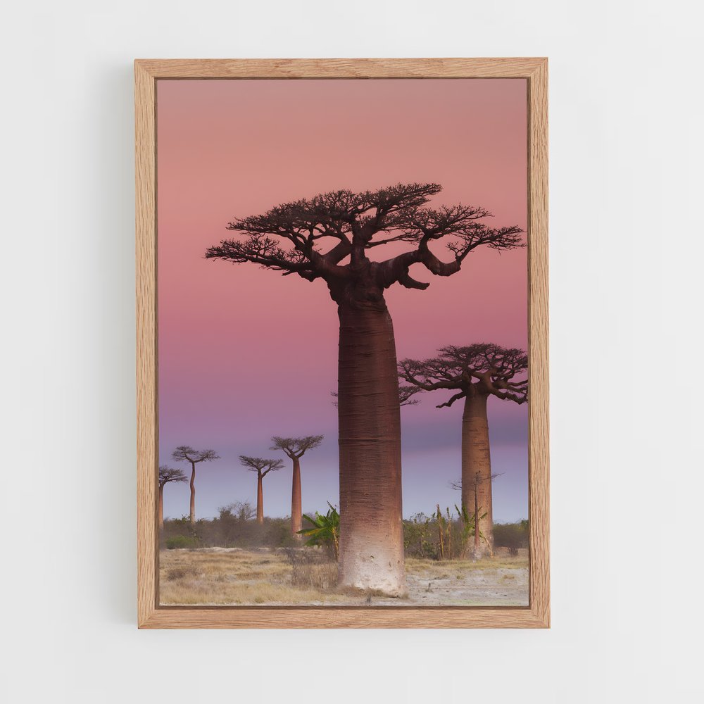 ap-baobab-5 cadre Bois clair