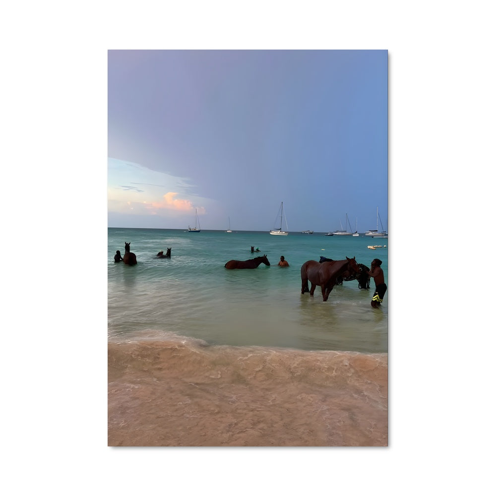 Poster Chevaux des Vagues