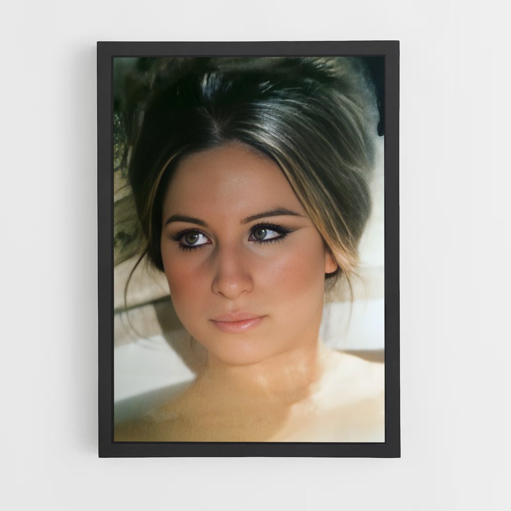ap-barbra streisand-3 cadre Noir