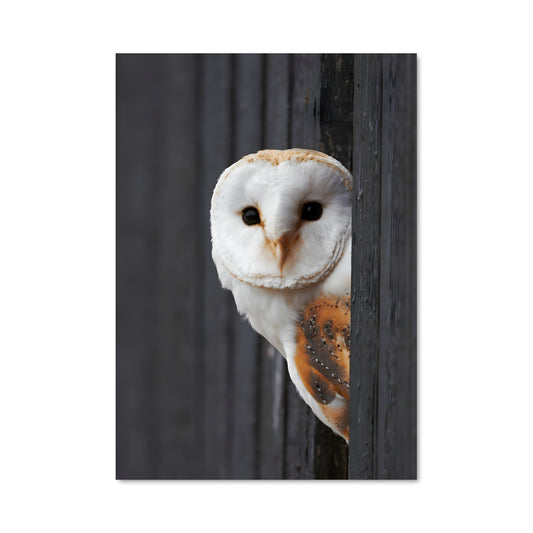 Poster Hibou de Grange