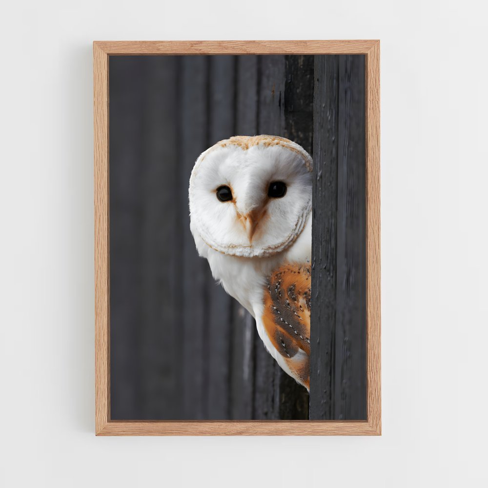 ap-barn owl-4 cadre Bois clair