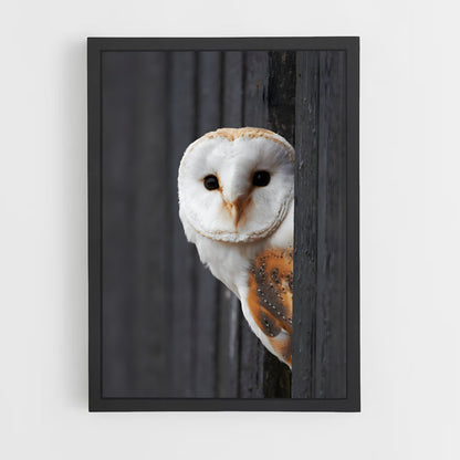 ap-barn owl-4 cadre Noir
