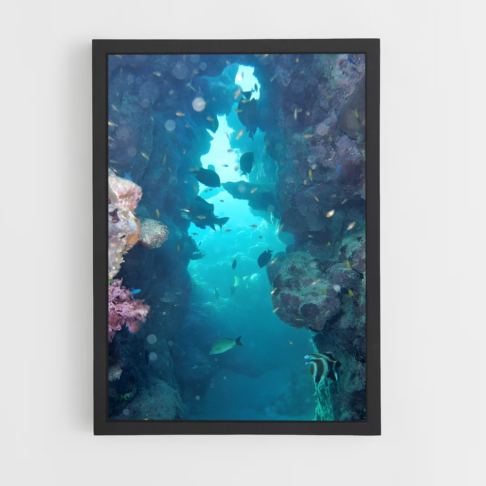 ap-barrier reef-1 cadre Noir