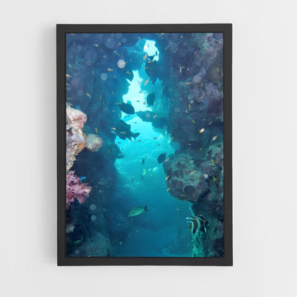 ap-barrier reef-1 cadre Noir