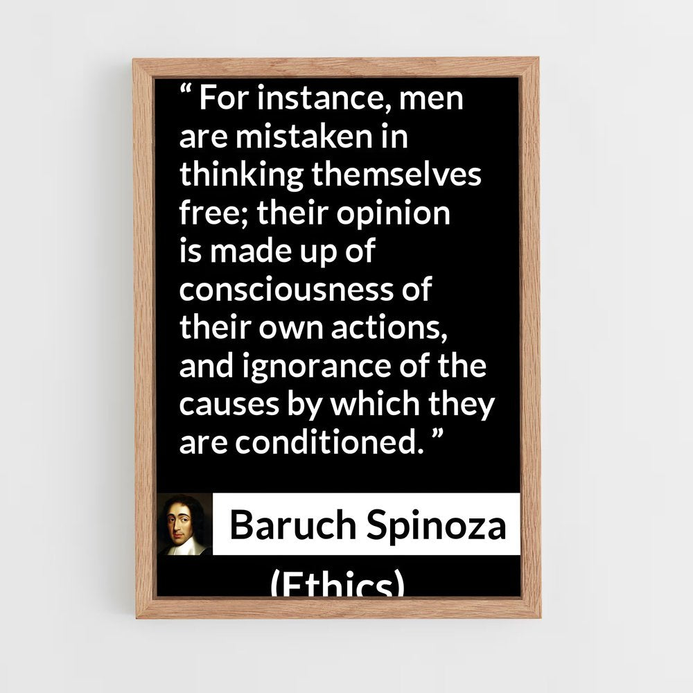 ap-baruch spinoza-4 cadre Bois clair