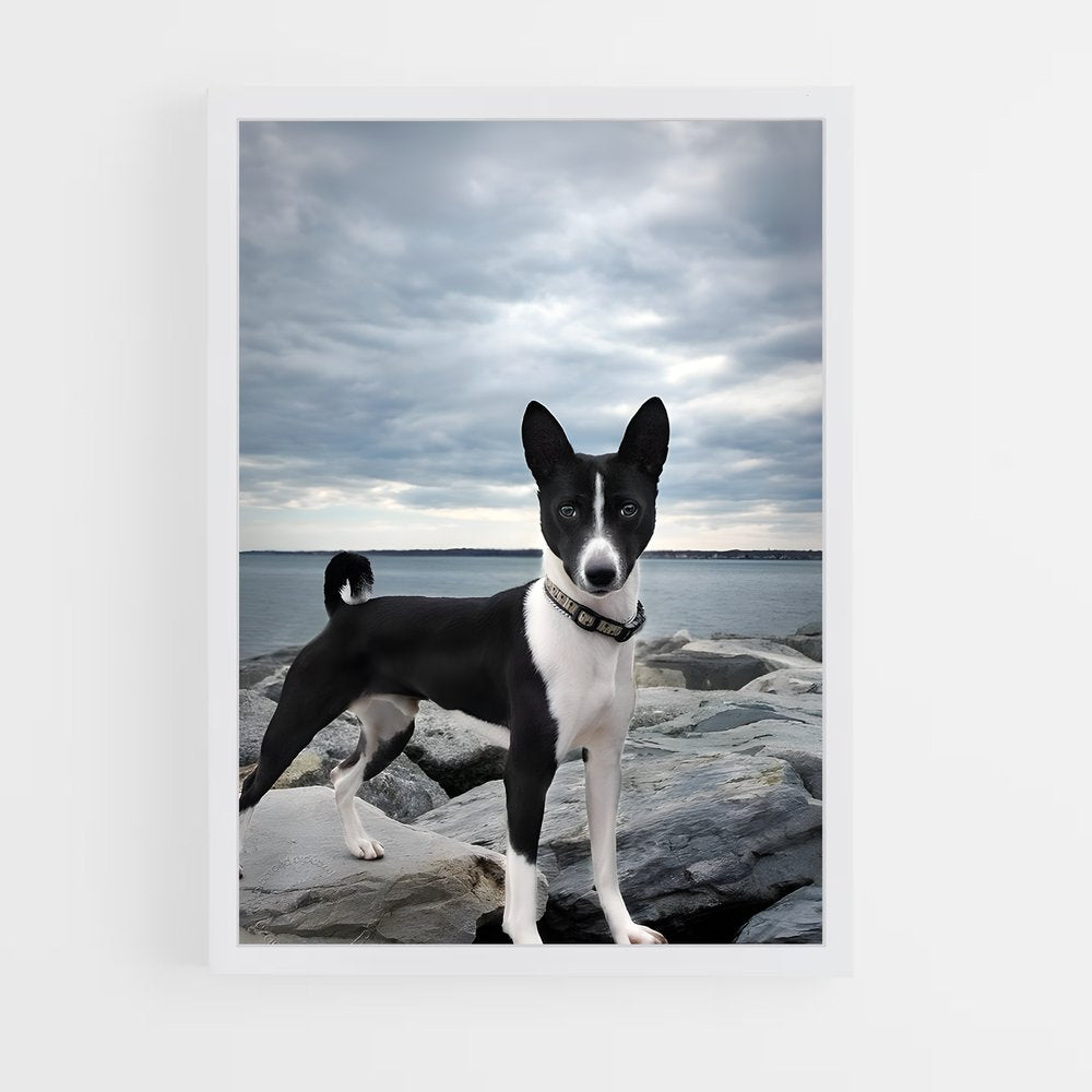 ap-basenji-3 cadre Blanc
