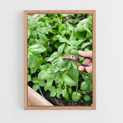 ap-basil-4 cadre Bois clair