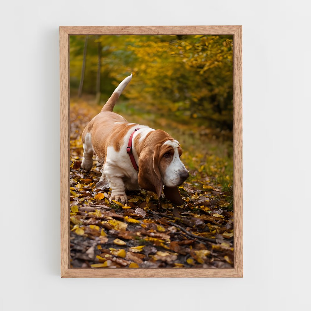 ap-basset hound-4 cadre Bois clair