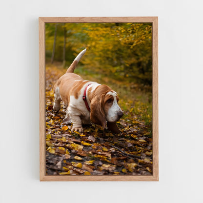 ap-basset hound-4 cadre Bois clair