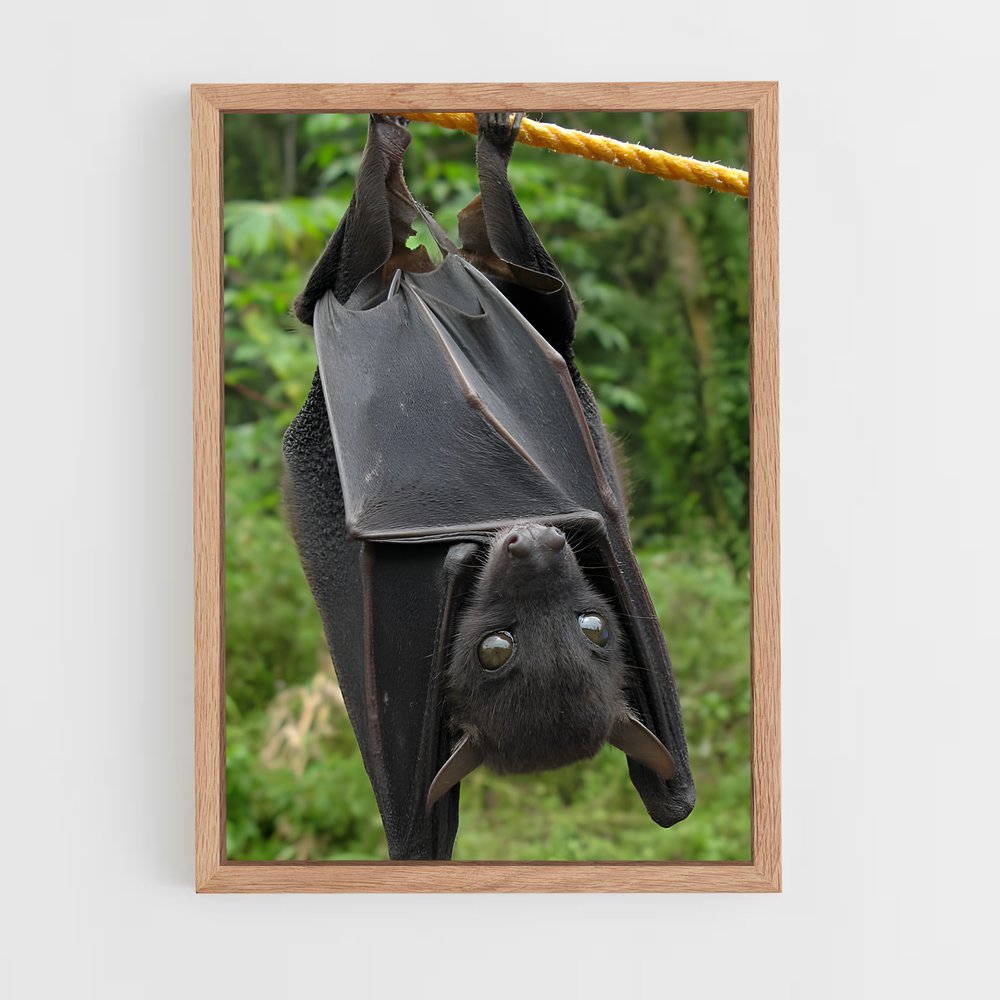 ap-bat-2 cadre Bois clair