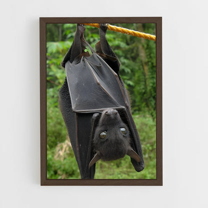 ap-bat-2 cadre Bois foncé