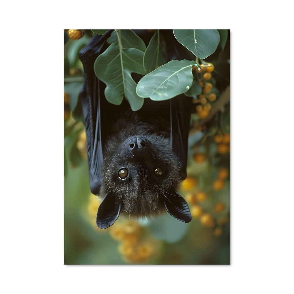 Poster Le Ballet des Chiroptères