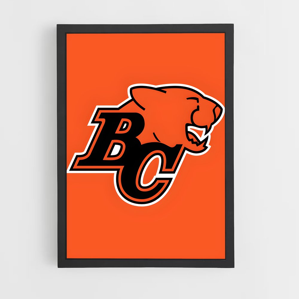 ap-bc lions-1 cadre Noir