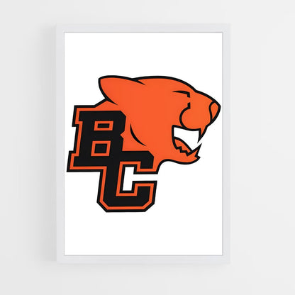ap-bc lions-5 cadre Blanc