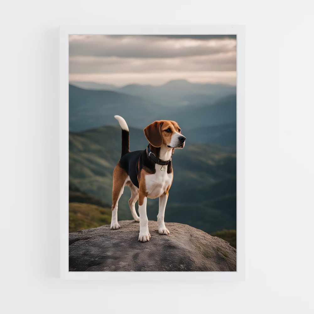 ap-beagle-1 cadre Blanc