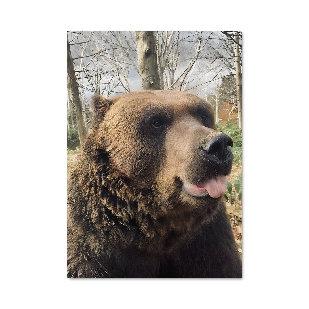 Poster Ours Gourmand