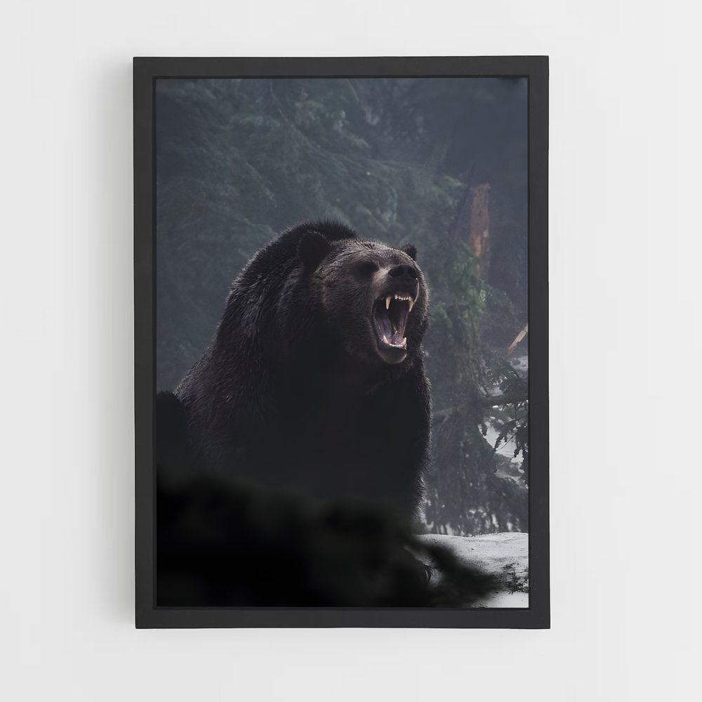 ap-bear-8 cadre Noir