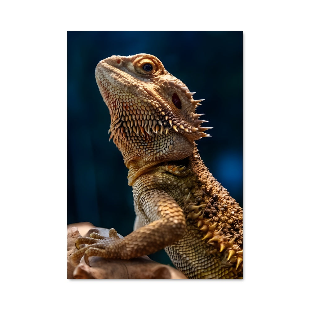 Poster Dragon des Roches