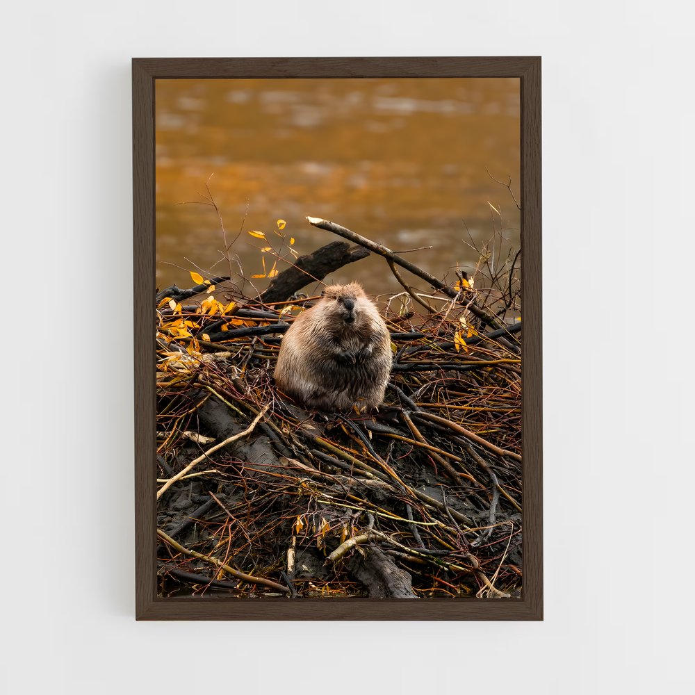 ap-beaver-1 cadre Bois foncé