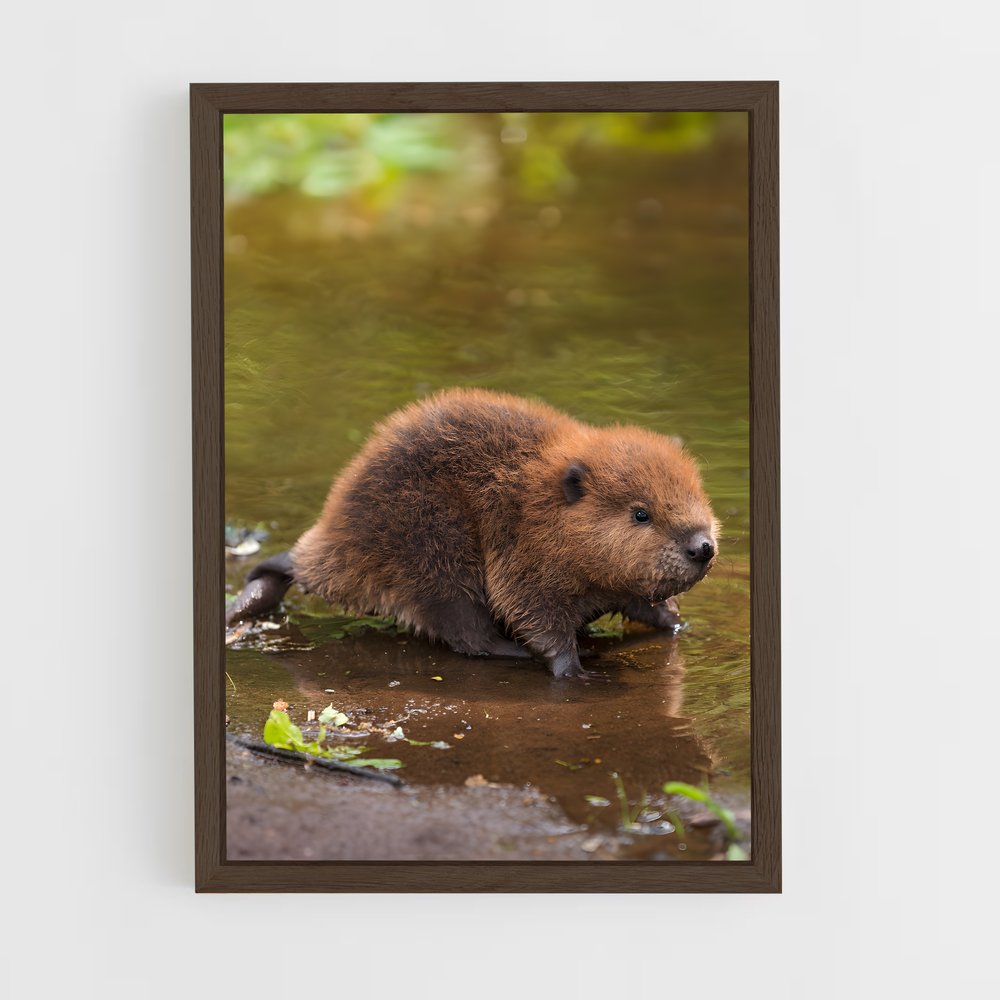 ap-beaver-5 cadre Bois foncé