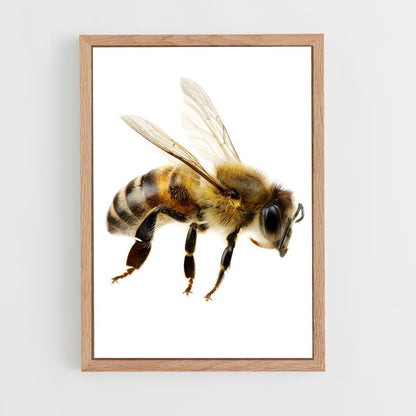ap-bee-1 cadre Bois clair