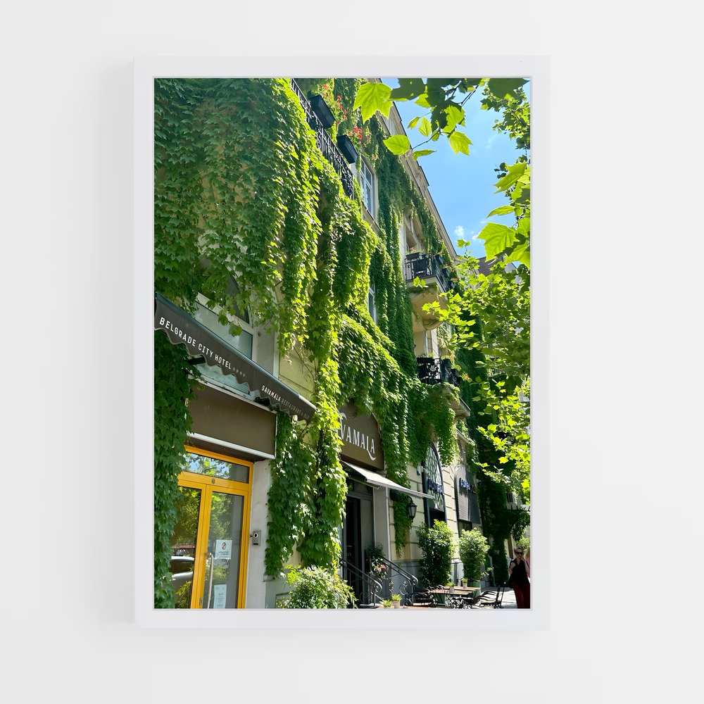 ap-belgrade-2 cadre Blanc