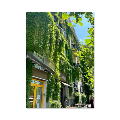 Poster Vignes de Belgrade