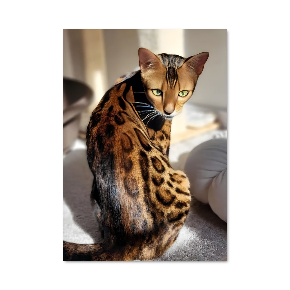 Poster Regard Sur Le Monde