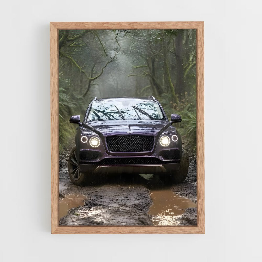 ap-bentayga-4 cadre Bois clair