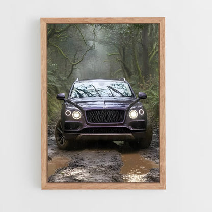 ap-bentayga-4 cadre Bois clair