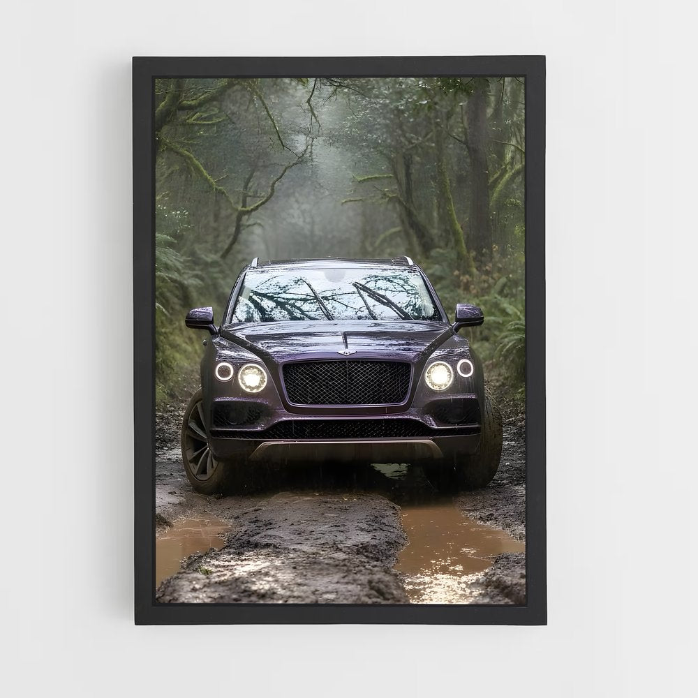 ap-bentayga-4 cadre Noir