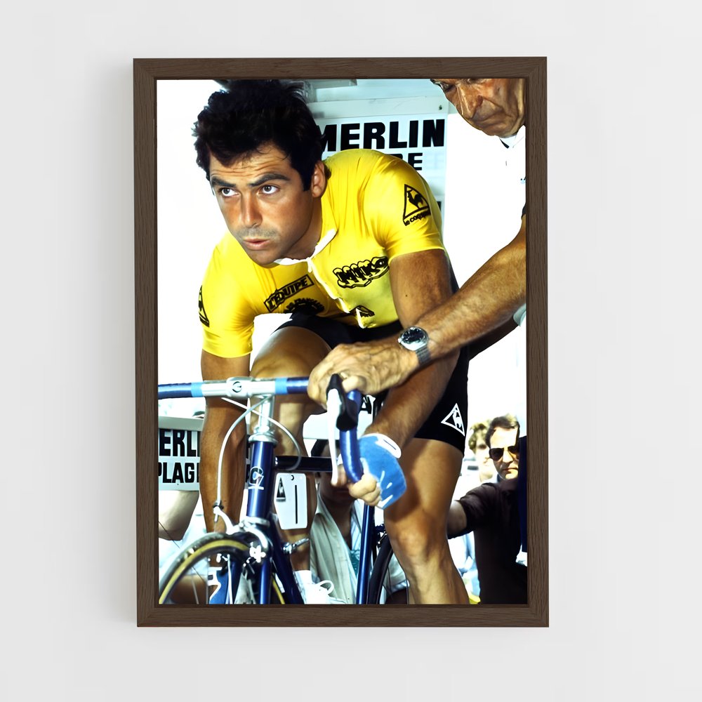 ap-bernard hinault-3 cadre Bois foncé