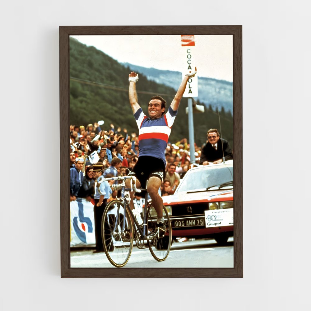 ap-bernard hinault-6 cadre Bois foncé